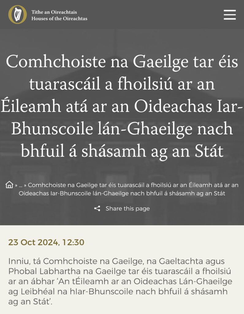 Comhchoiste na Gaeilge tar éis tuarascáil a fhoilsiú ar an Éileamh atá ar an Oideachas Iar-Bhunscoil_03